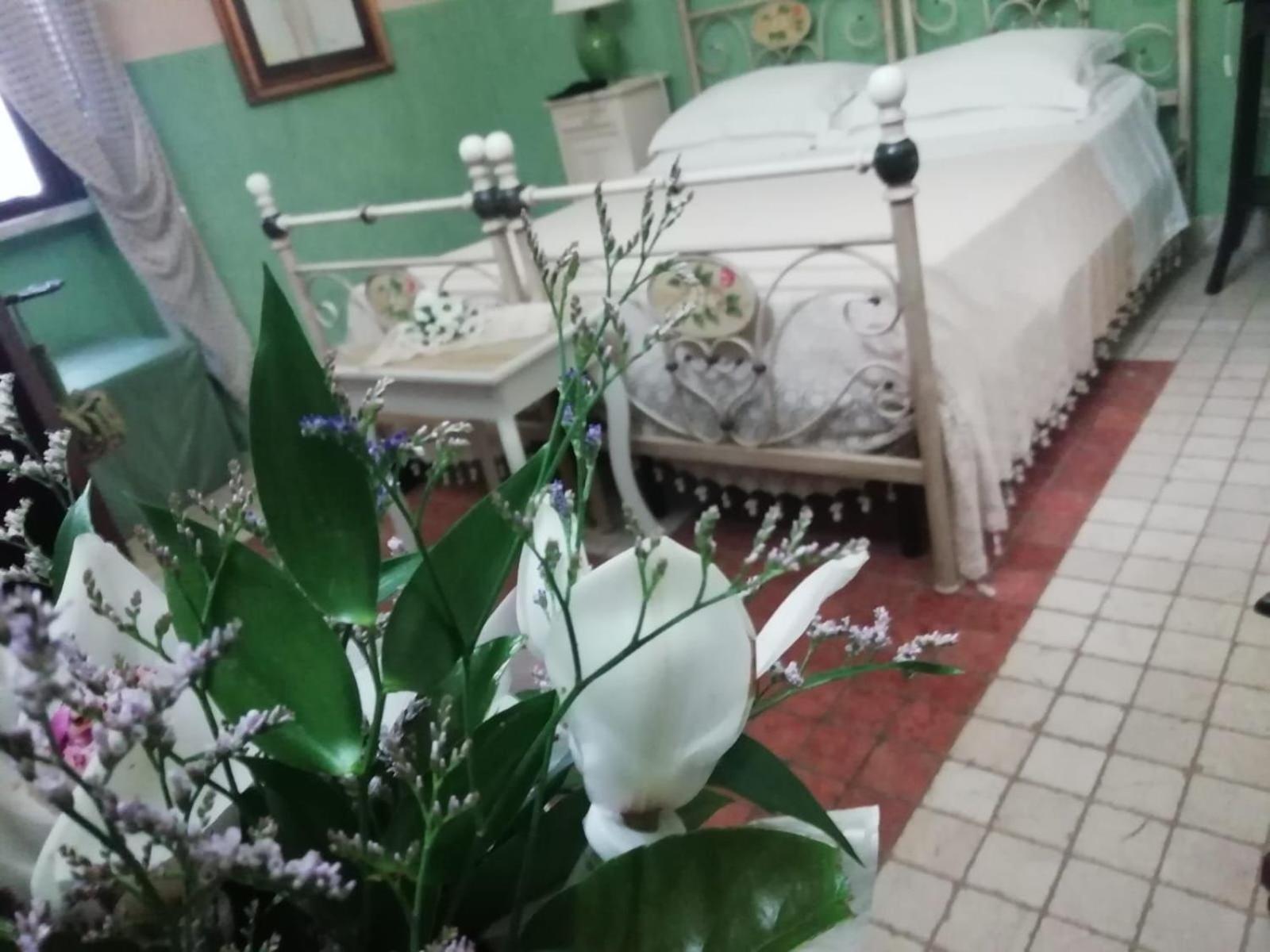 مبيت وإفطار سالفي Anticadimora Dei Pepe المظهر الخارجي الصورة